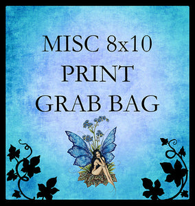 8x10 print grab bag