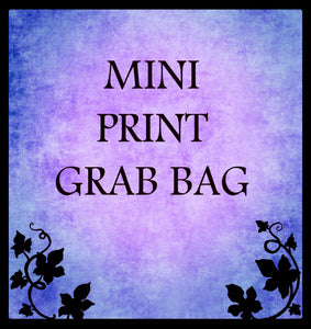 MISC 5x7 PRINTS GRAB BAG