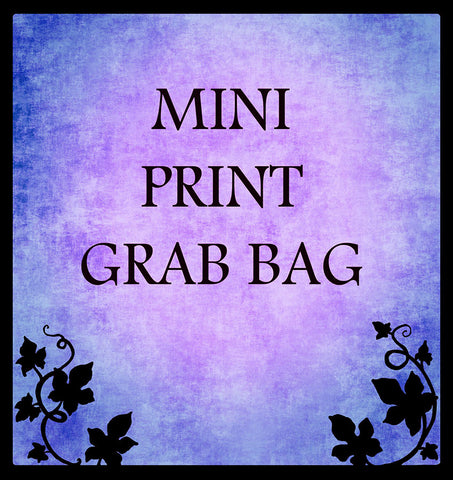 MINI PRINTS GRAB BAG