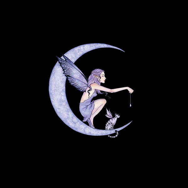 Fairy sitting on a crescent moon with a cat, all against a black background