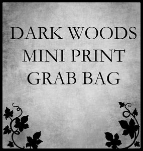 dark woods mini print grab bag