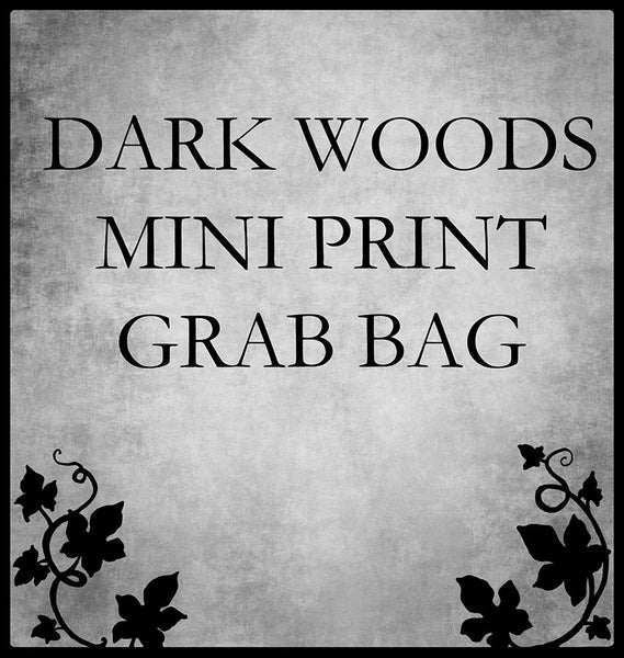 dark woods mini print grab bag