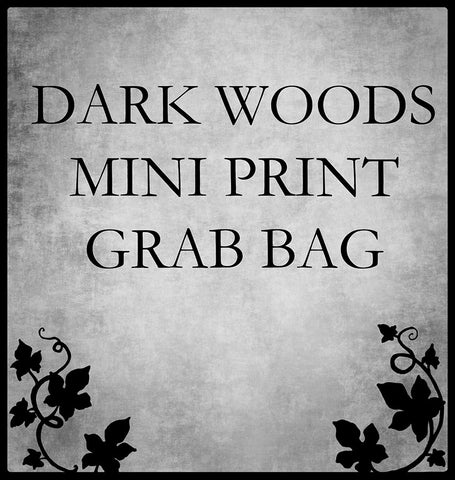 dark woods mini print grab bag